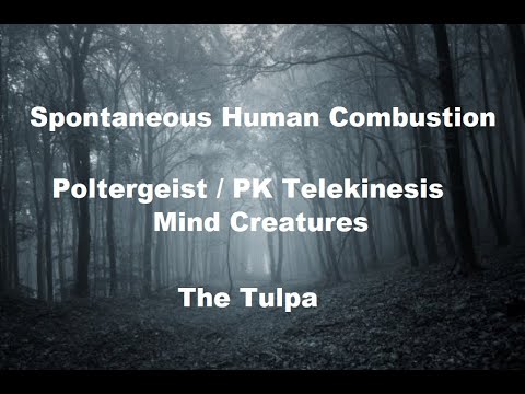 Mysteries of the Unexplained : 3 Stories in 20 minutes