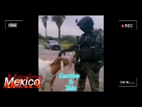 A LA PM PUSE EN ALTO-(EL SIE7E) -DOBLE ONE