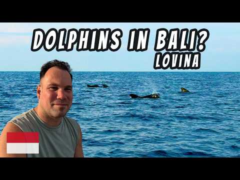 Lovina Dolphin Tour Review | Dolphin Watching in Bali Indonesia