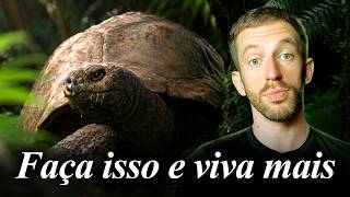 O que uma tartaruga pode te ensinar sobre longevidade