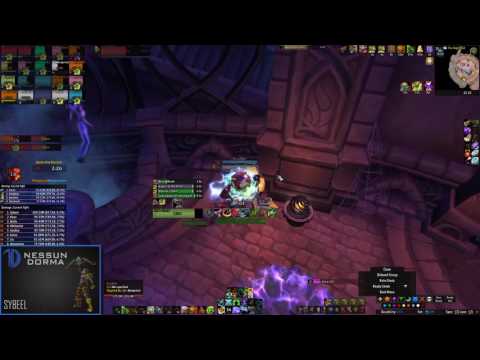 Nessun Dorma vs. Trilliax Mythic - Hunter BM Pov