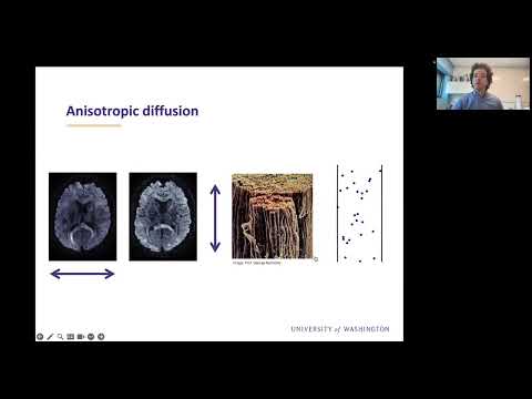 QLS/CAMBAM Seminar - Ariel Rokem - November 14 2023