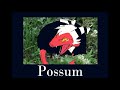 Moxxie The Possum