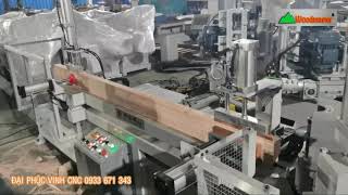 Máy 2 đầu làm Khung Bao Cửa đi Woodmaster