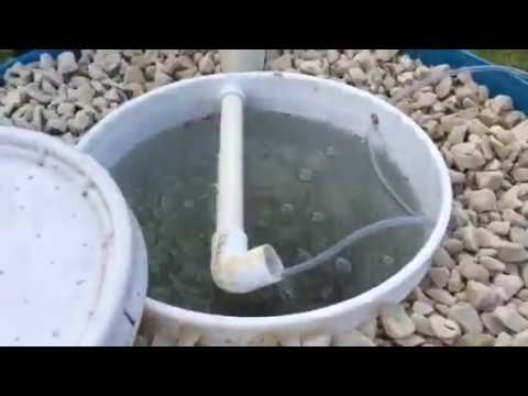 Small efficient simple cheap Aquaponics prototype 1