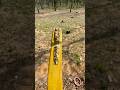 Deer horn tip inlay!! #selfbow traditional bowhunting