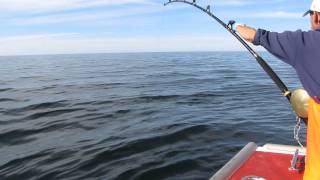 preview picture of video 'port hood tuna fishing'