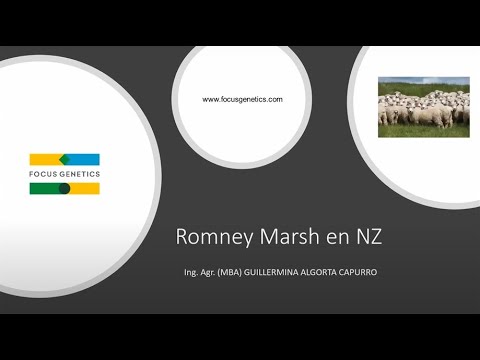 , title : 'Romney Marsh en Nueva Zelanda'