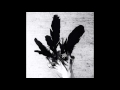 DIE/MAY - Black Swan (Audio) 