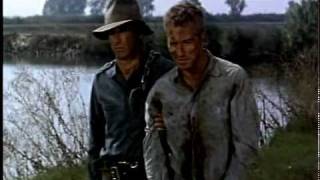 Mose Allison Parchman Farm