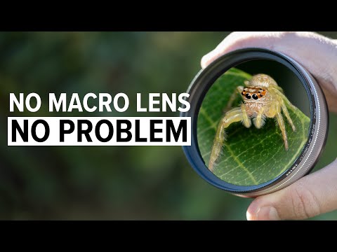 NiSi Close Up Lens Review | Macro Photography Made Easy!