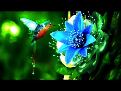 Roger Shah & Ralph Fritsch - Discovery (Roger Shah Mix)