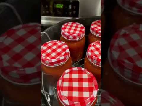 Whose Ready For Some Homemade Salsa