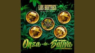 Onza de Sativa