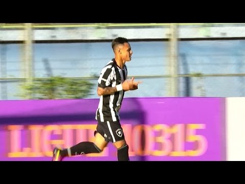 Melhores Momentos - Botafogo 2 x 1 Santa Cruz - Campeonato Brasileiro 2016