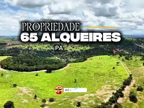 EXCELENTE PROPRIEDADE 65 ALQUEIRES PAVÃO-MG R$ 5 MILHÕES #gado #agro #minasgerais #brasil #luxo 