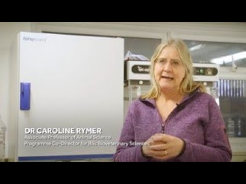 Explore BSc Bioveterinary Sciences play video