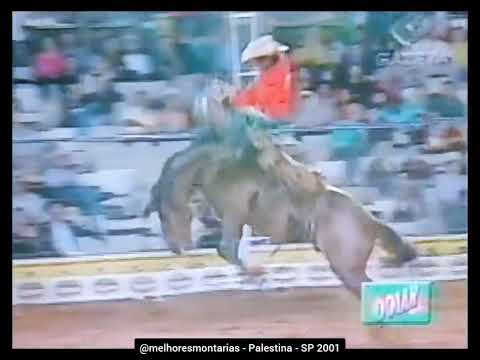 🇧🇷 Sansão Silva Menezes x Panther - Palestina 2001 | Campeão do Rodeio 🏆 #rodeio #cutiano