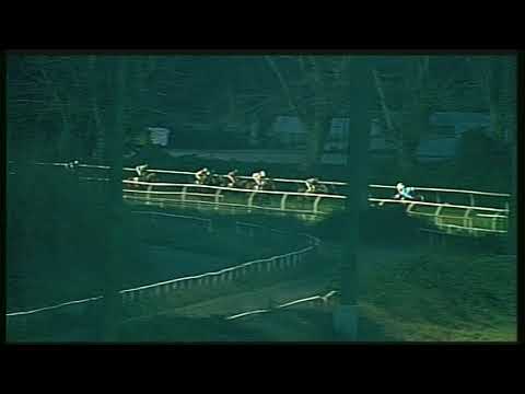 Galoppo 18/02/2020 - 6ª corsa