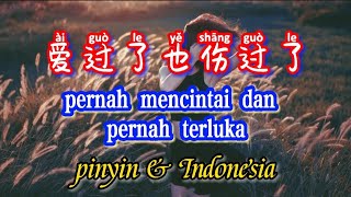 Download lagu ai guo le ye shang guo le 过了也伤过了pernah mencintai dan pernah terluka Teks Indonesia & Pinyin mp3