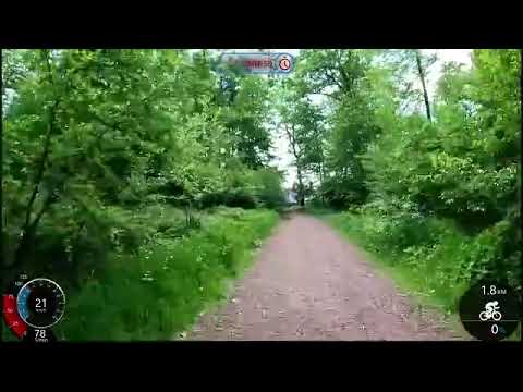 Aliquid dolorum autem 1005335