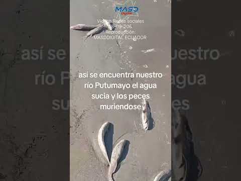 #contaminacion #RioPutumayo #Sucumbíos