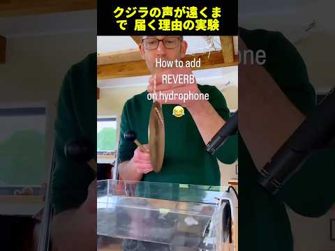 クジラの声が遠くまで 届く理由の実験