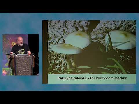 LAPSS: Dennis McKenna