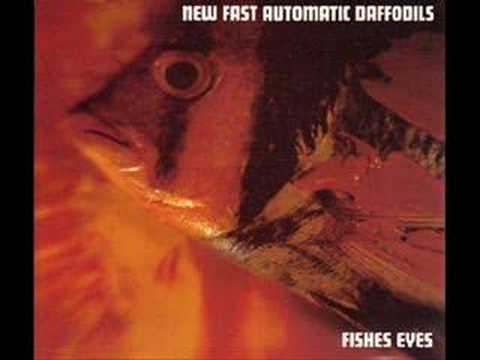New Fast Automatic Daffodils - Fishes Eyes