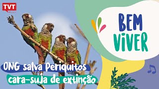 Miniatura do vídeo
