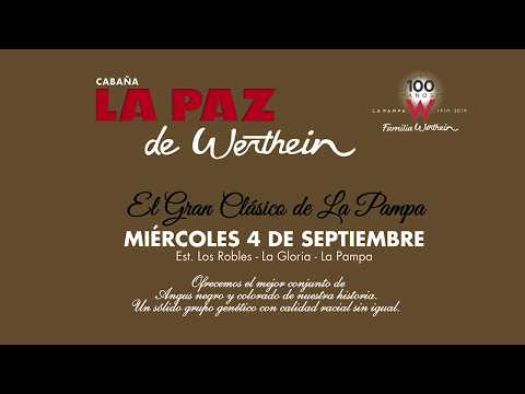 Toros PC La Paz de Werthein