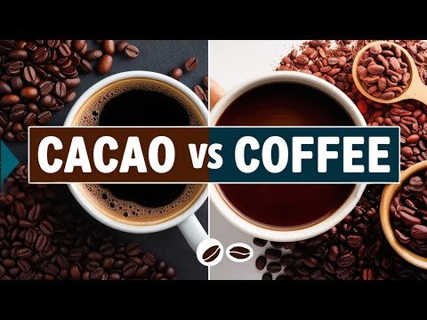 Brewed Cacao vs Coffee Review || Discover the Healthier Superfood