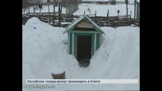 В Цивильском районе овчарки насмерть загрызли пенсионерку