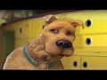 Scooby Doo 2 Monsters Unleashed Scooby 2004 VHS Capture 17