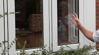 Album cover: Windows