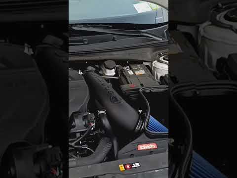 2023 Elantra N TakeDa stage 2 intake pure sounds📈
