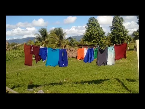 Young Rose  Official Music Video   Country Bookie   2016