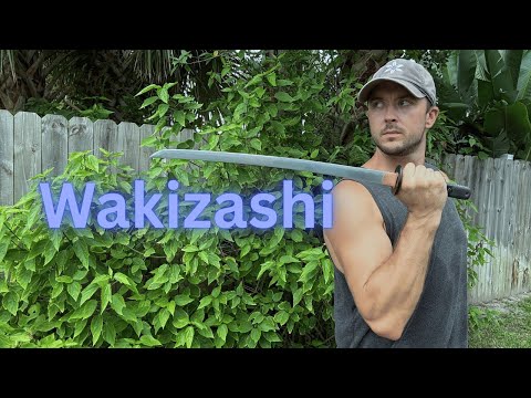 Dragon King Modern Wakizashi  | Kult of Athena Reveal