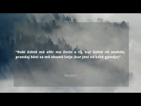 KËRKIMI I FALJES (ISTIGFARI) DHE PENDIMI (TEUBEJA)