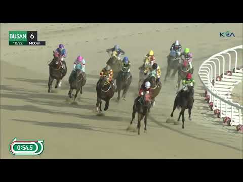 (Busan) 2023.10.22 R6 Class 2 (1400M) Handicap