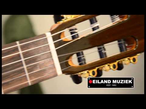 Instalar un microfono interno a una guitarra flamenca : El taller |  Guitarristas.info