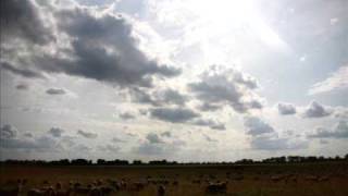 Philipp Poisel - Mit jedem deiner Fehler Lyrics