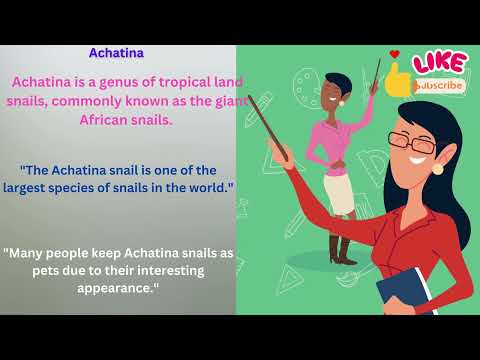 Achatina Meaning in English With Example