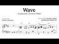 Terrance Shider Wave Transcription