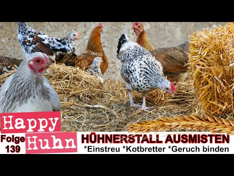 , title : 'E139 Ausmisten, Stallhygiene, Einstreu und Kräuterheu im Hühnerstall - HAPPY HUHN, Kotanalyse Hühner'