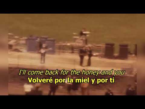 download lagu mp3 mp4 A Taste Of Honey Beatles Lyrics, download lagu A Taste Of Honey Beatles Lyrics gratis, unduh video klip A Taste Of Honey Beatles Lyrics