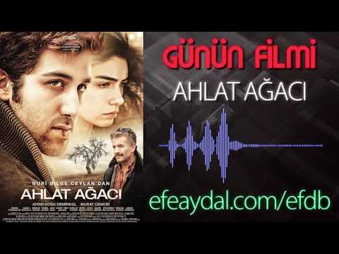 'The Wild Pear Tree' - LOCAL Film of the Day Feat. Ekşici Reis