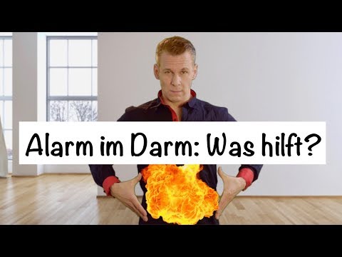 Alarm im Darm: Was hilft?