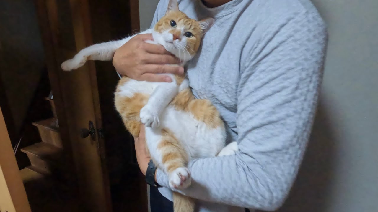 父の帰宅を喜んだら‥こうなりました