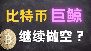 10.11砸盘巨鲸继续做空？三大嫌疑人曝光？如何追踪鲸鱼钱包！